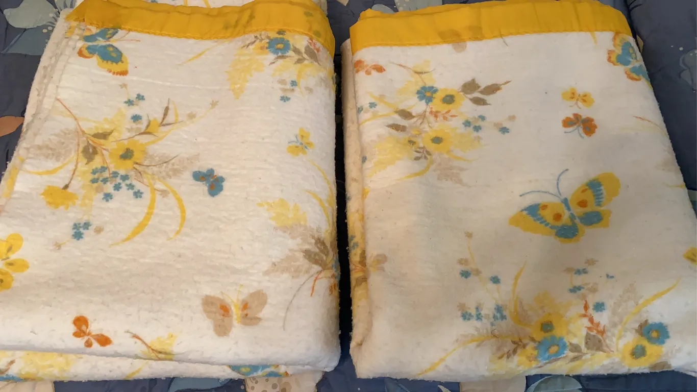 2 Vintage Cannon Monticello “Summer Day” Thermal Blankets