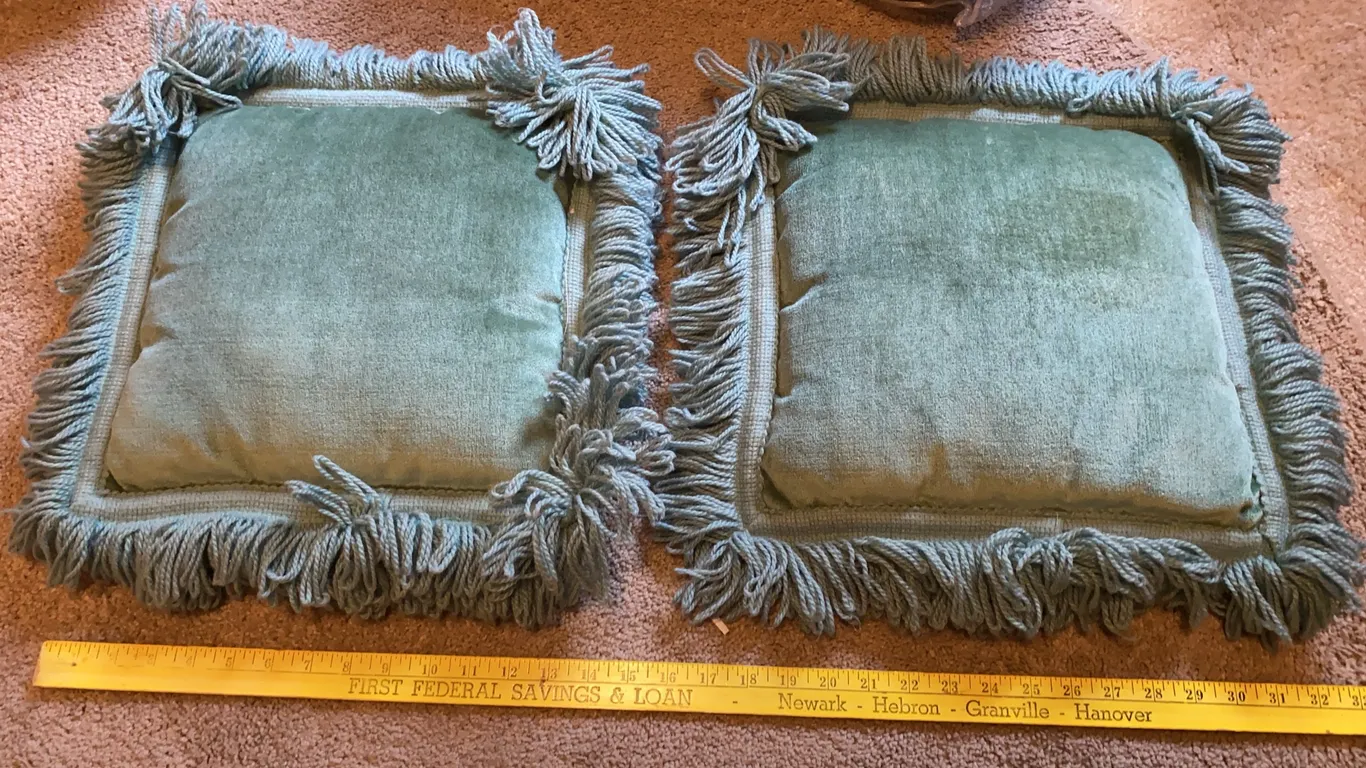 Pair of Sage Green Fringe Accent Pillows