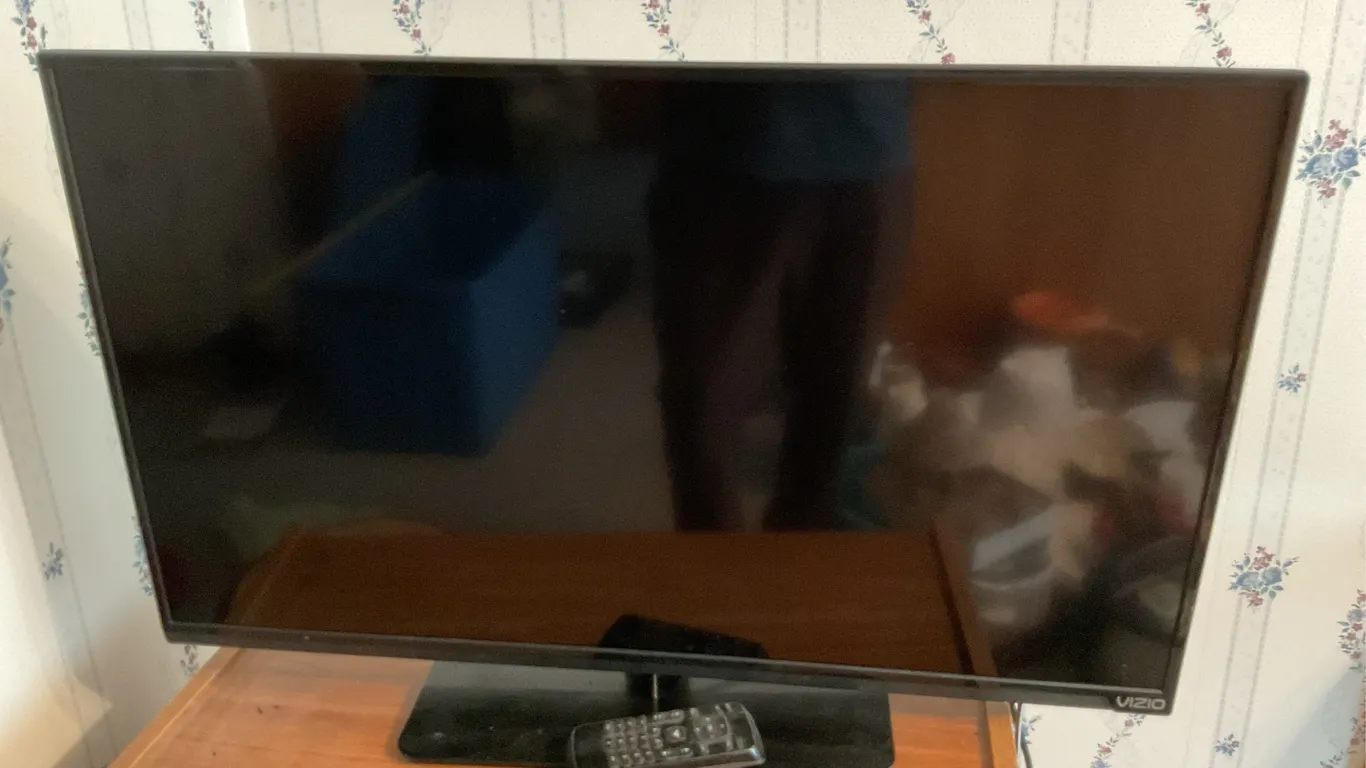 VIZIO Flat-Screen HDTV with Remote