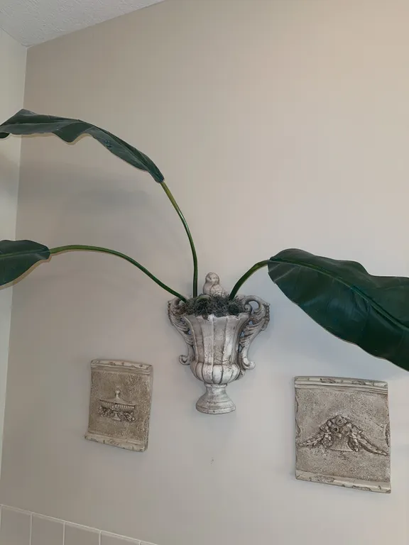 Beautiful wall decor