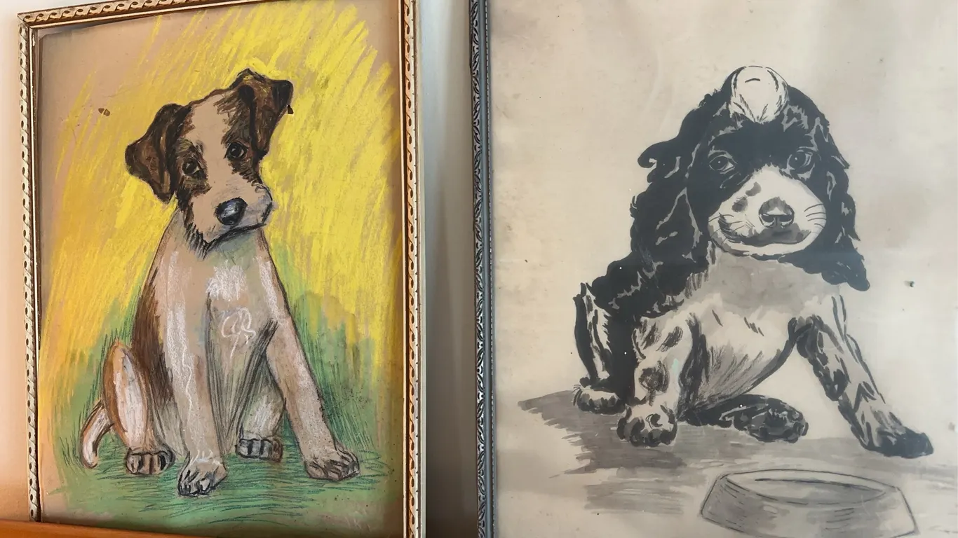 Original art - dogs