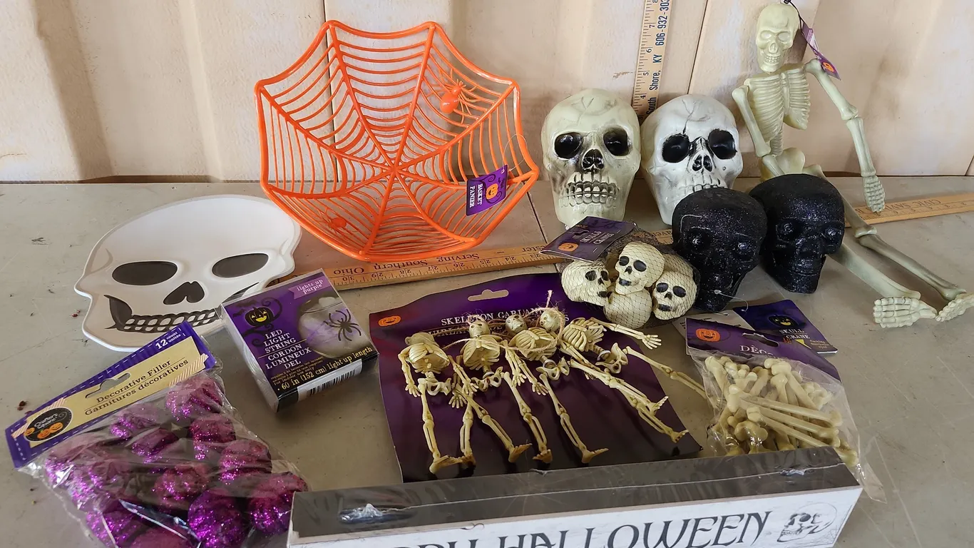 Assorted New Halloween Decor-Skulls, Spider Basket, Etc.