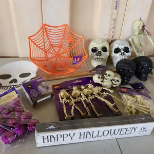 Assorted New Halloween Decor-Skulls, Spider Basket, Etc.