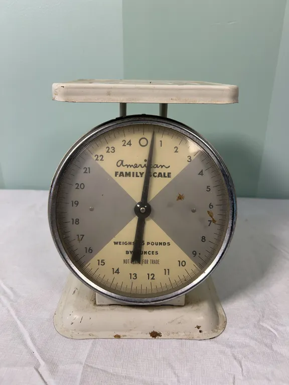 American Family Scale