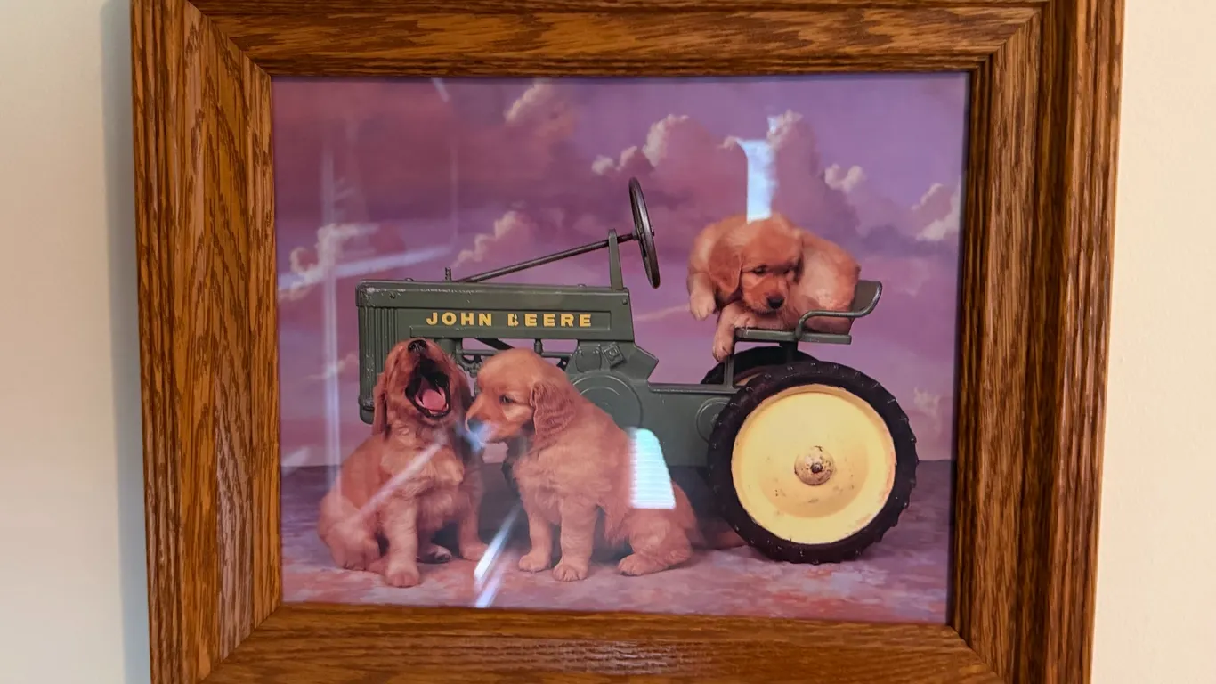 "John Deere Pups" Art Jenny Newland