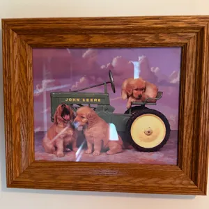 "John Deere Pups" Art Jenny Newland
