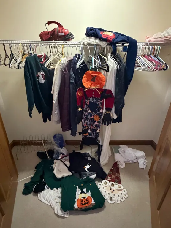 Closet Lot – Clothing, Seasonal Decor & Household Items