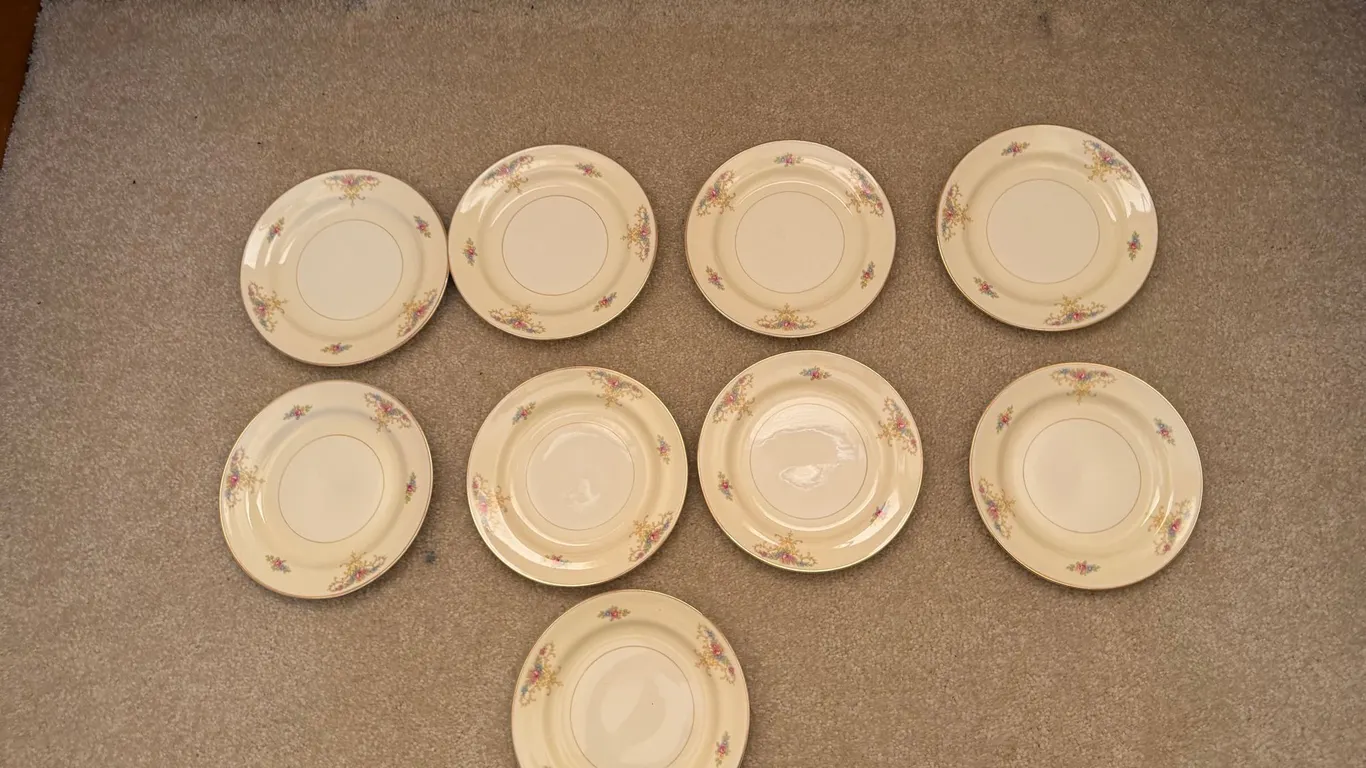 Eggshell Nautilus Floral China Plates – Set of 9