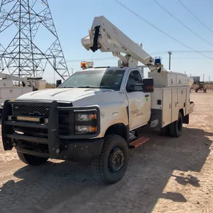 2020 CHEVROLET 6500 VIN: 1HTKJPVM1LH369985