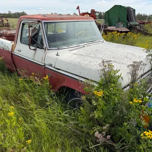 1976 Ford F100 Truck, 302 V8, Auto, Running when parked
