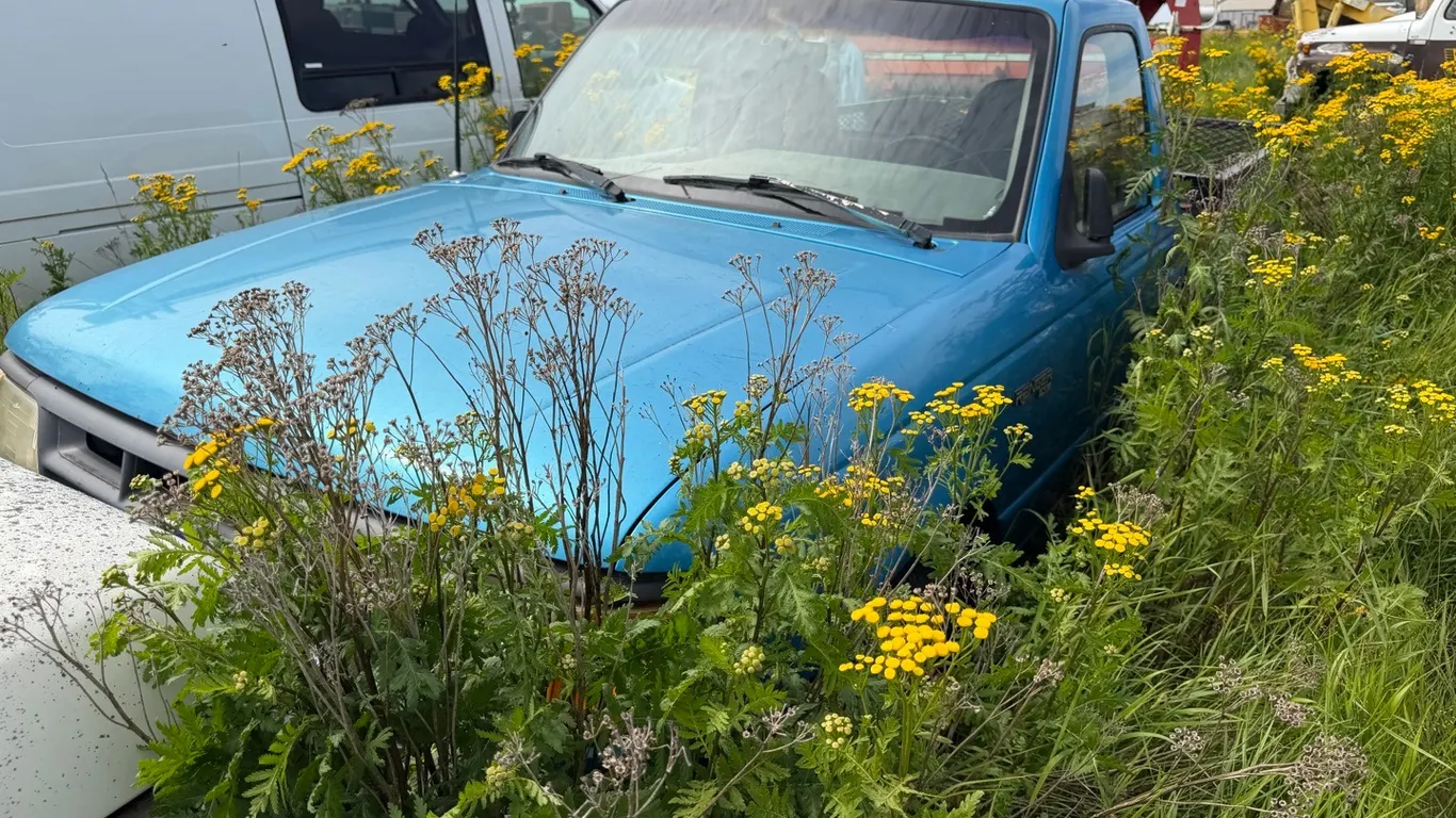 Ford Ranger w/ Very Good Rear Deck Box, Not running