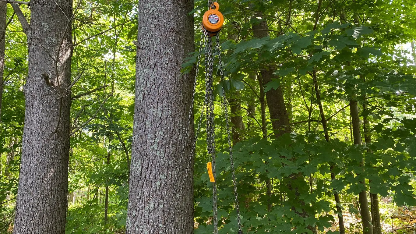 HaulMaster 1 Ton Chain Hoist