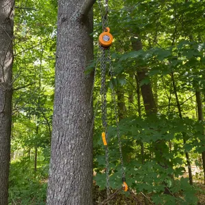 HaulMaster 1 Ton Chain Hoist