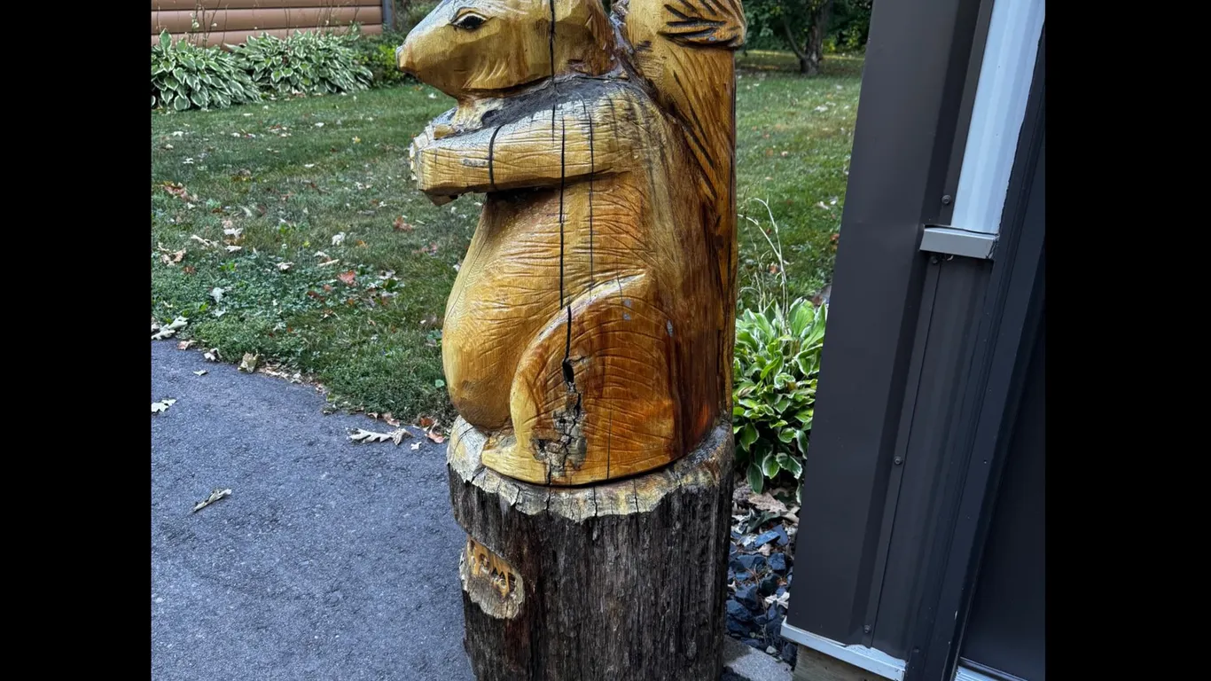 Chainsaw Carved Wooden Squirrel Welcome Statue