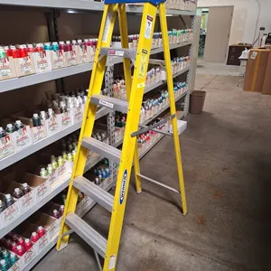 Werner 6' Fiberglass Ladder