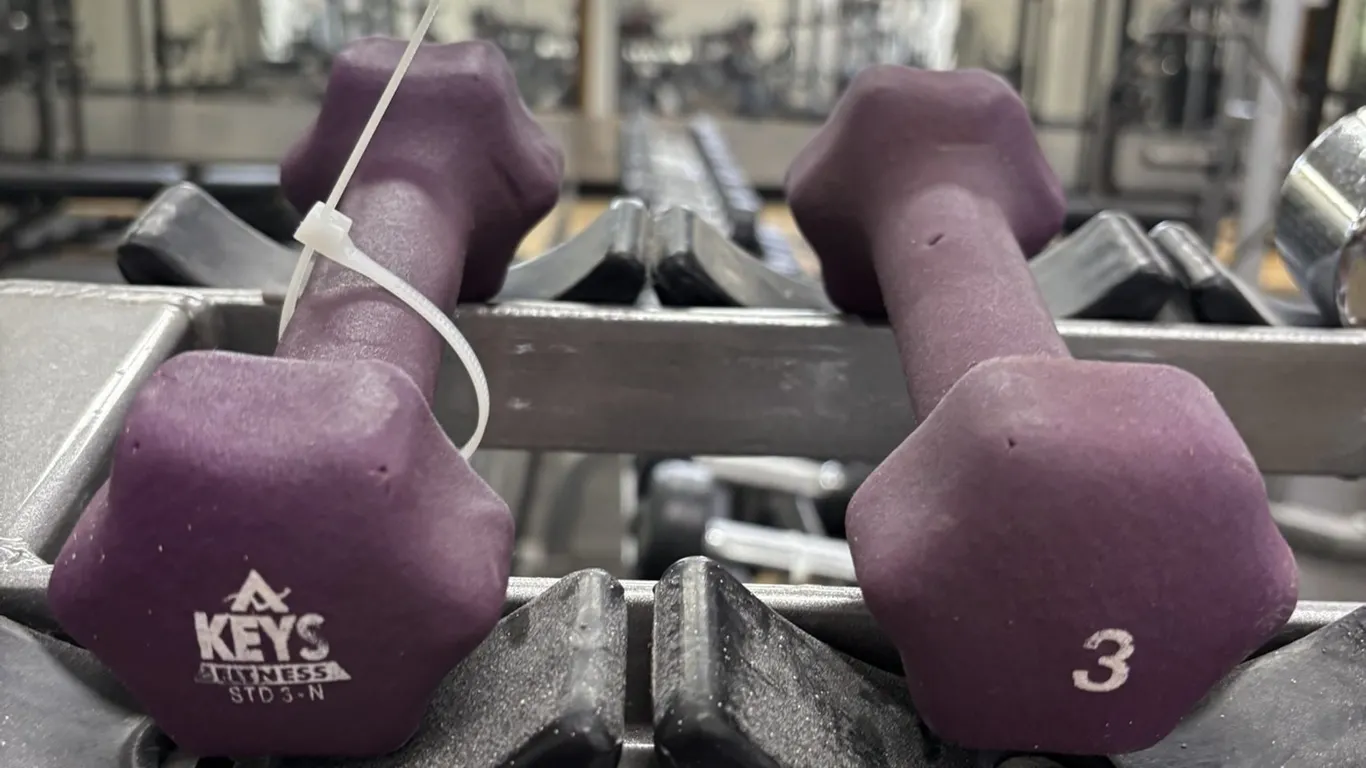 (2) Free Weights by A Key's Fitness - 3 Pounds