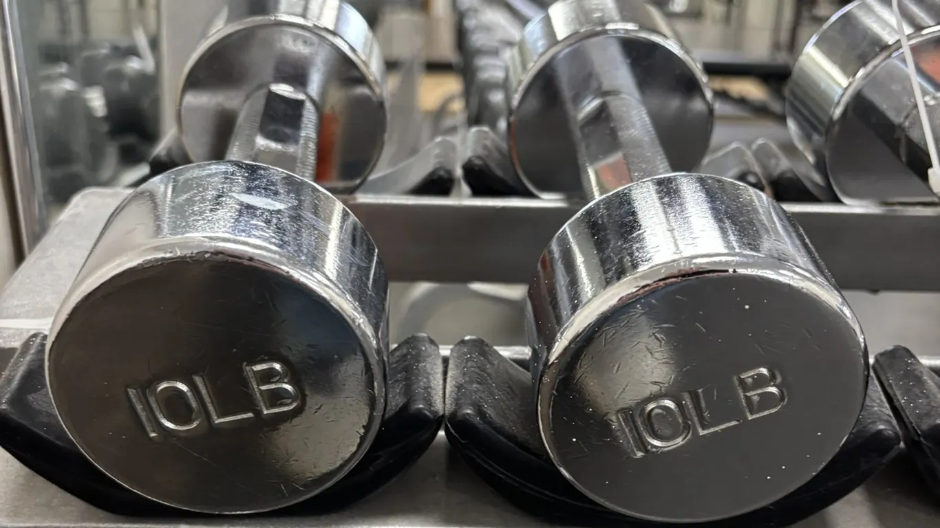 (2) Free Weights - 10 Pounds
