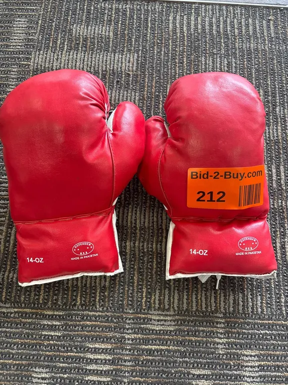 Pair of Boxing Gloves, Defender, 14- OZ