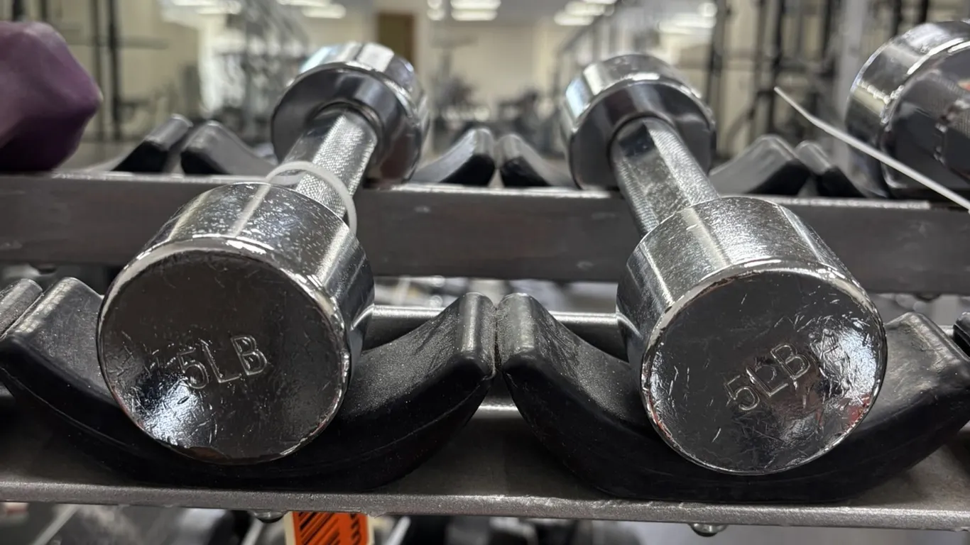 (2) Free Weights - 5 Pounds
