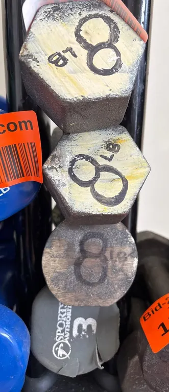 (4) 8 Pound Free Weights