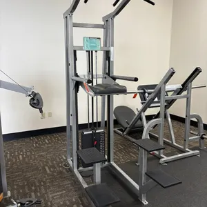Star Trac Chin/ Dip Assist