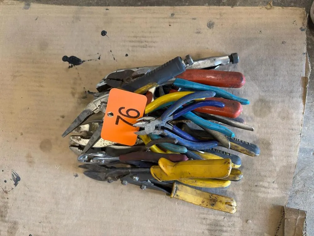 Assortment of pliers