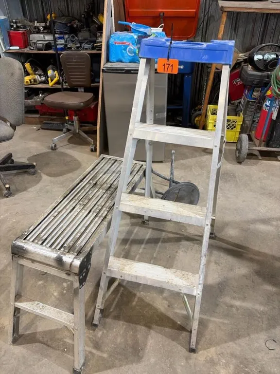 Step ladder and small ladder