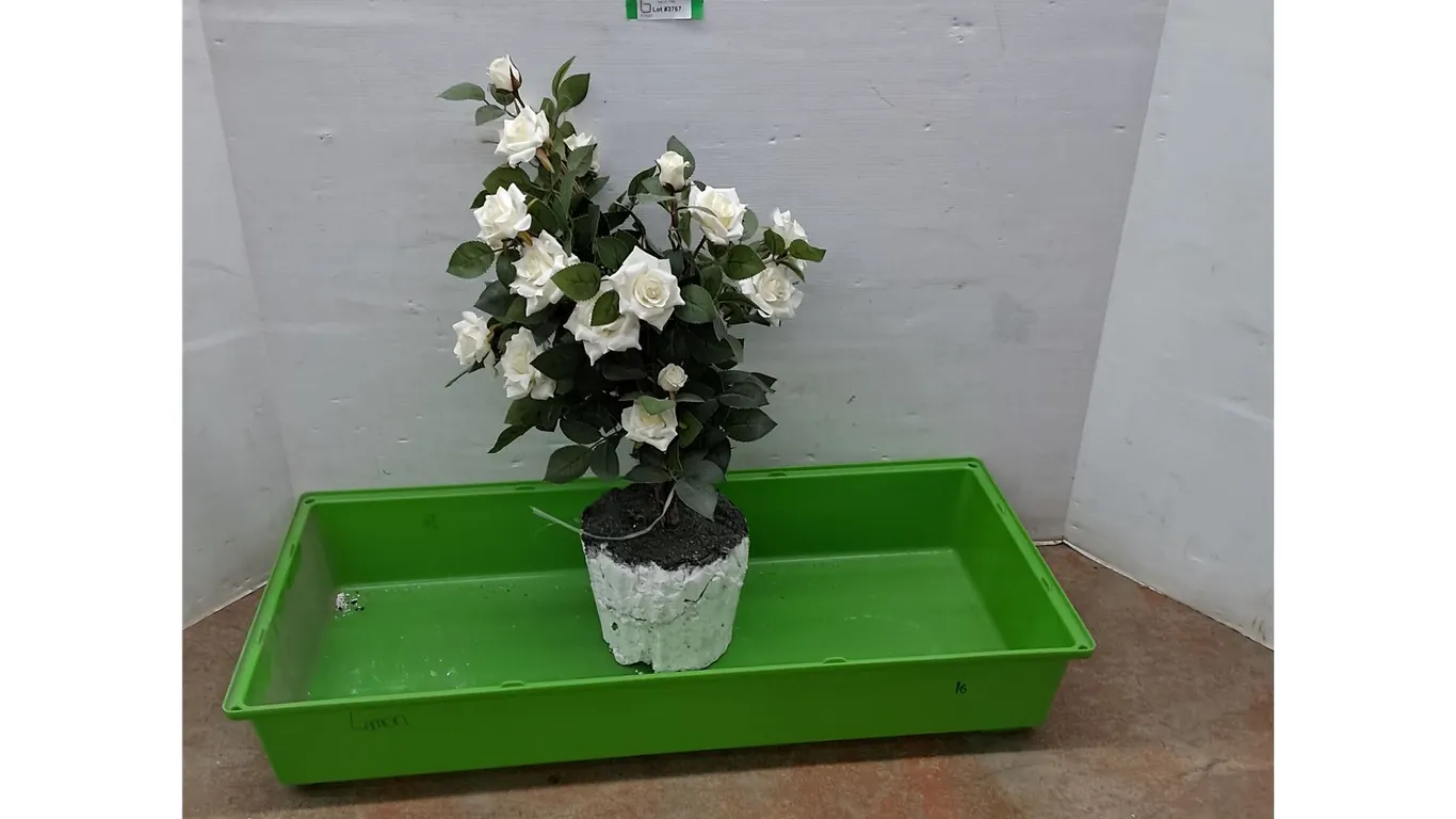 *Plastic Container 40" x 18" x 7" & Artificial Roses 31"- Can't Ship