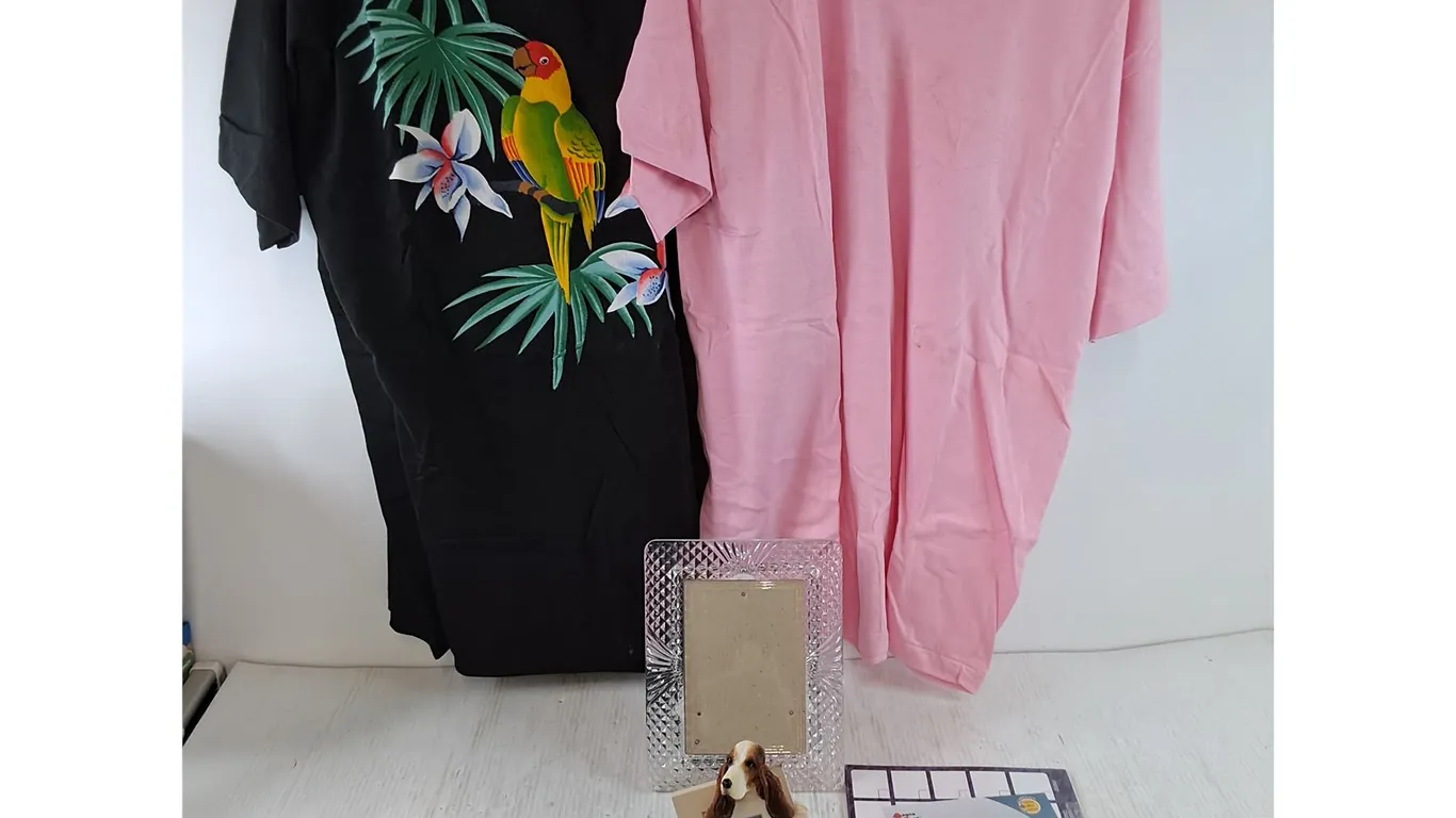 (2) Shirts, XXL Parrot Black and XL Pink Fruit of The Loom, (2) Picture Frames, Trollz Notebook Misc