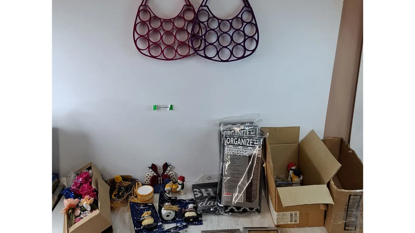 (2) Accessory Hangers, Assorted Small Christmas Decorations, (3) Shoe Shelves, Plastic Flowers, Misc