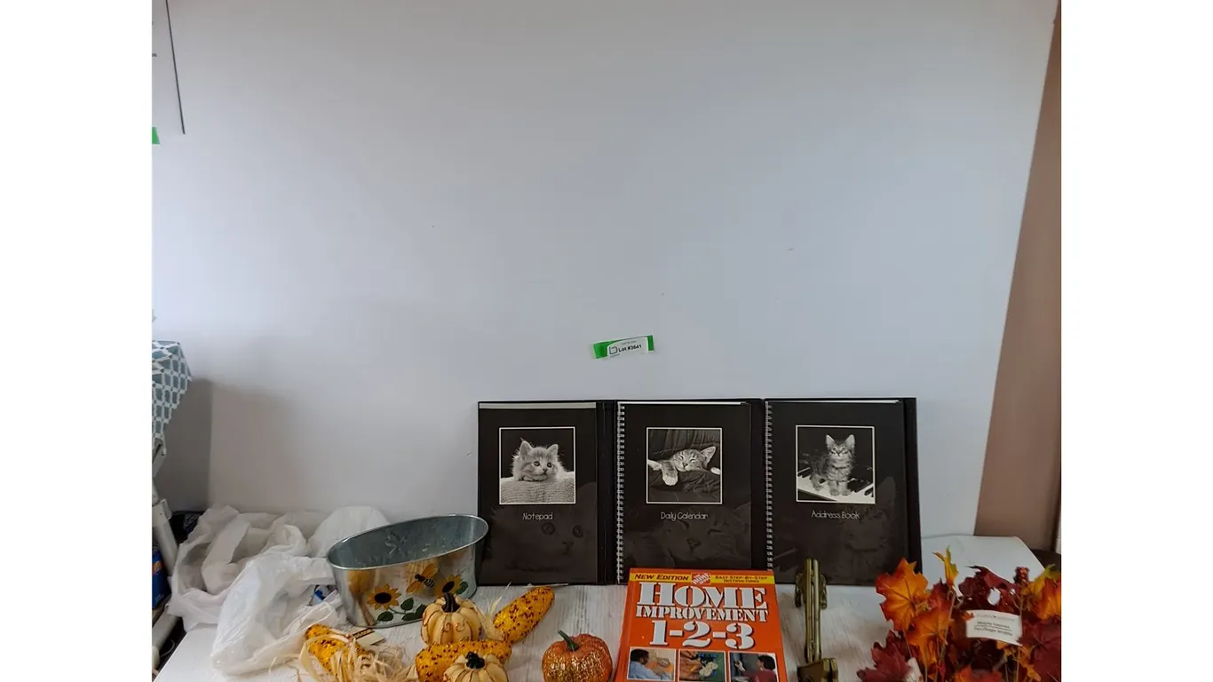 As-Is Brand Sunglasses, Fall Decorations, Home Depot Improvement Book, Notepad, Calender, Misc