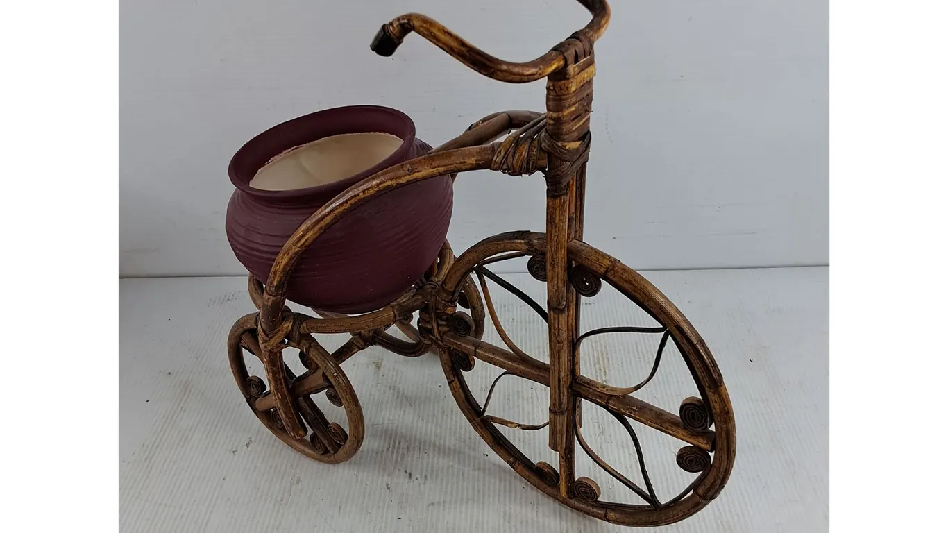 Decorative Tricycle Planter Holder & Ceramic Planter