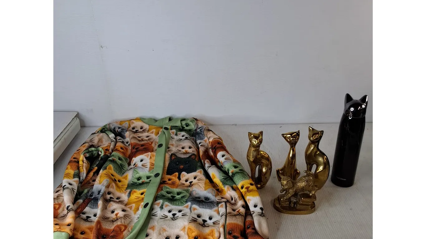 Cat Printed Jacket, Water Bottle, (4) Brass Cats