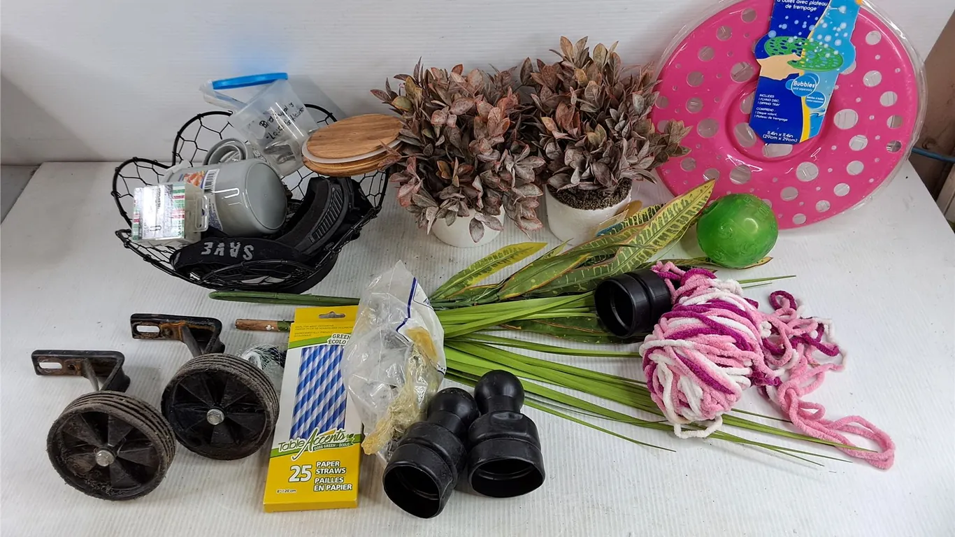Bicycle Side Wheels, Bubble Flying Disk, Fruit Bowl, Artificial Plants, Paper Straws, Misc