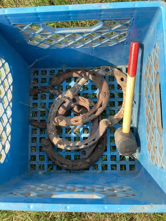Used Horseshoes and Rubber Mallet