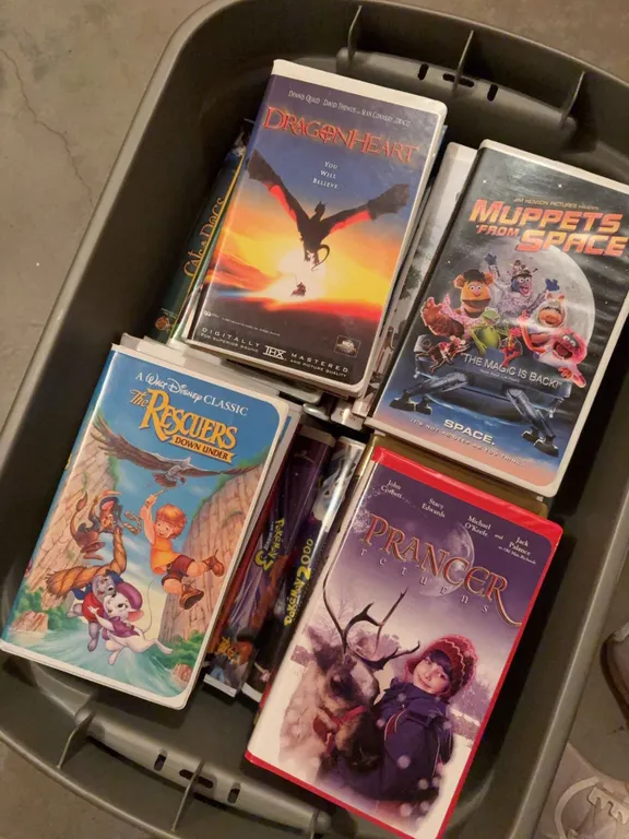 Disney and Family VHS Movies with Animated Titles