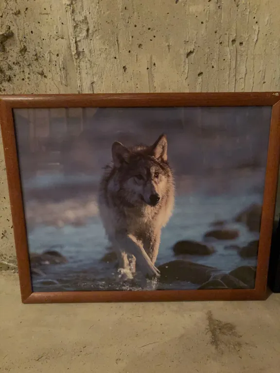 Framed Wolf and Indigenous Man Art Prints, Approx. 18x22 and 22x18 in