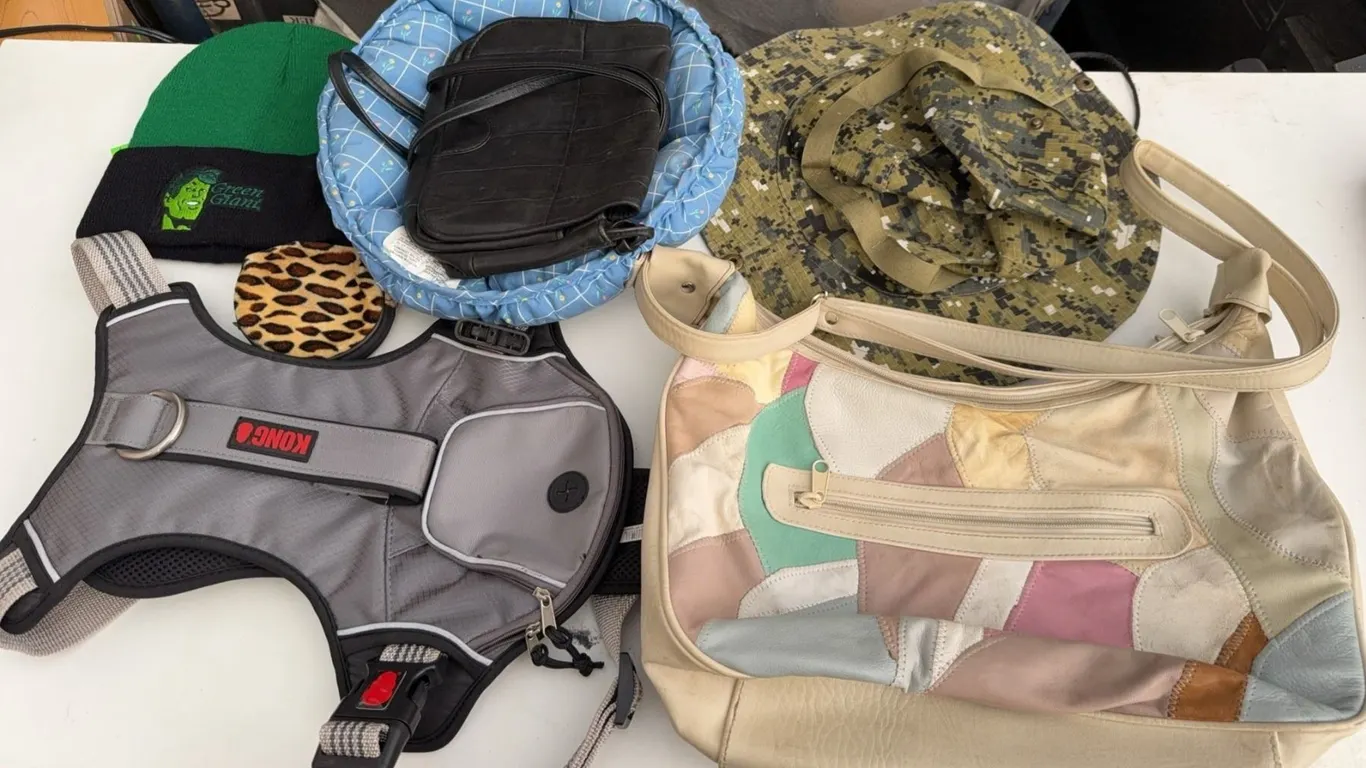 Bags, Purses, Wallets, and Backpacks
