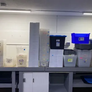 LARGE GROUP OF ASSORTED SIZE AND STYLE STORAGE BINS