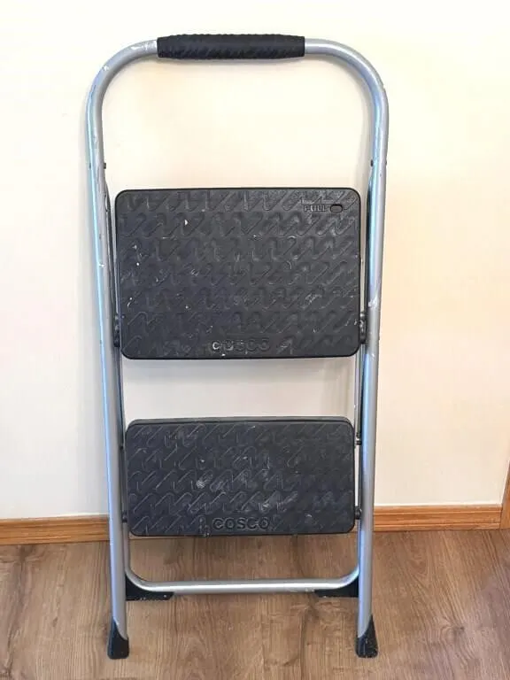 Cosco Two Step Step Ladder