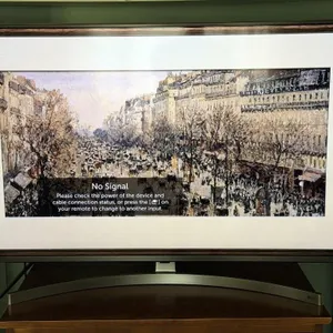 LG 48” Smart TV