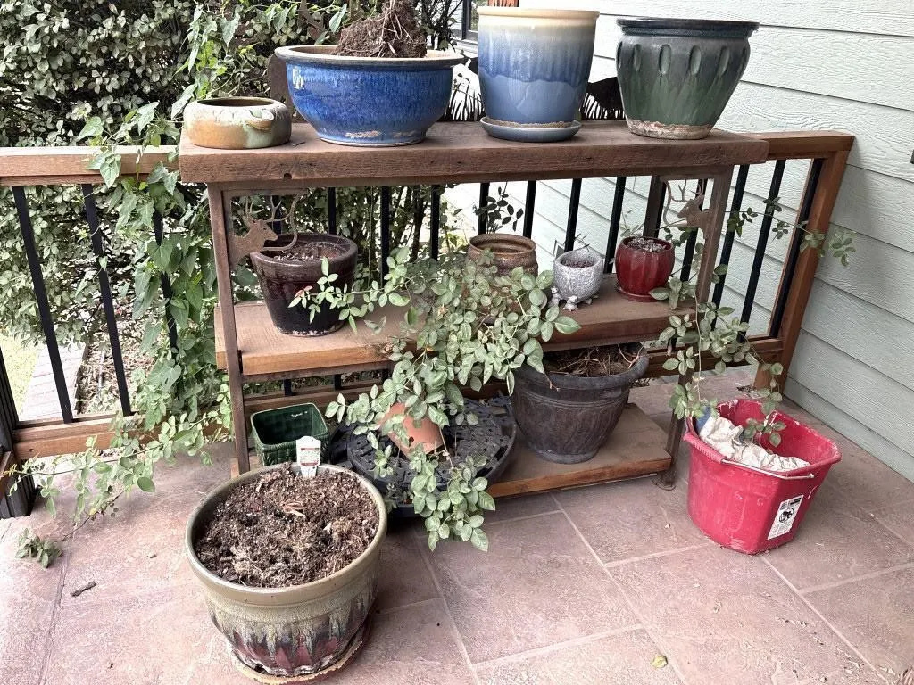 Plant Stand & Pots 50"x23"x38"