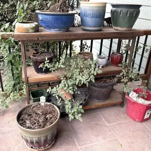 Plant Stand & Pots 50"x23"x38"