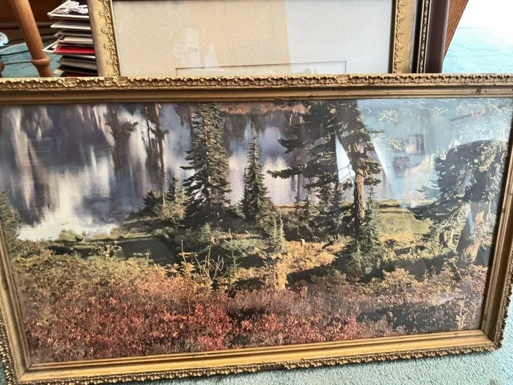 Framed Prints