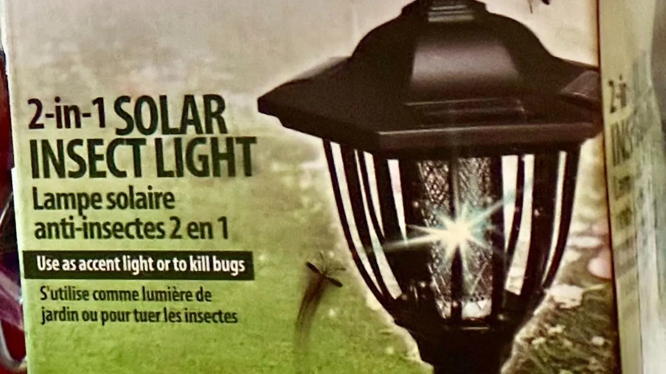 Insect Light