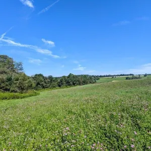 Offering #1 – 7.3152 Acres