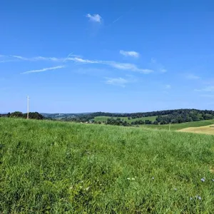 Offering #3 – 3.1196 Acres