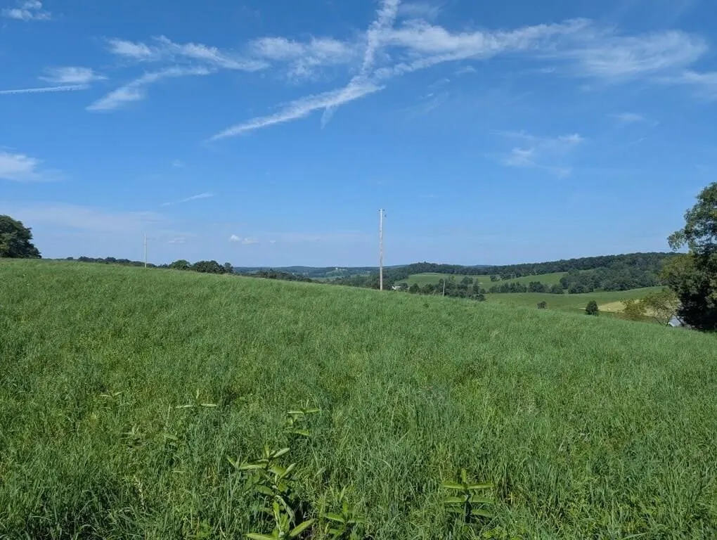Offering #4 – 2.0233 Acres