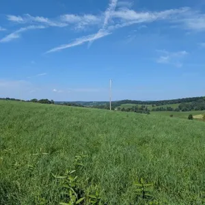 Offering #4 – 2.0233 Acres