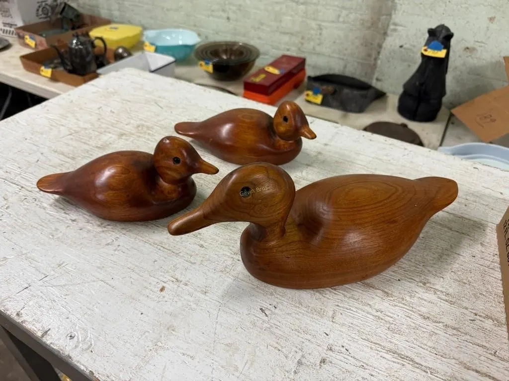 Wood Ducks